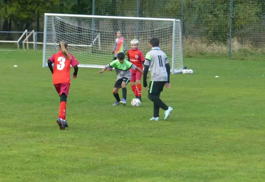 TJ Jiskra Nový Oldřichov - SK Šluknov/Lipová 11:4