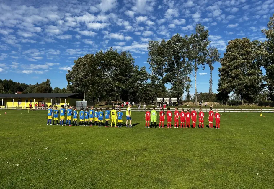 TJ Jiskra Nový Oldřichov - FK Cvikov