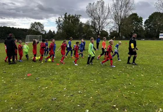 TJ Jiskra Nový Oldřichov - FK Brniště 3:6