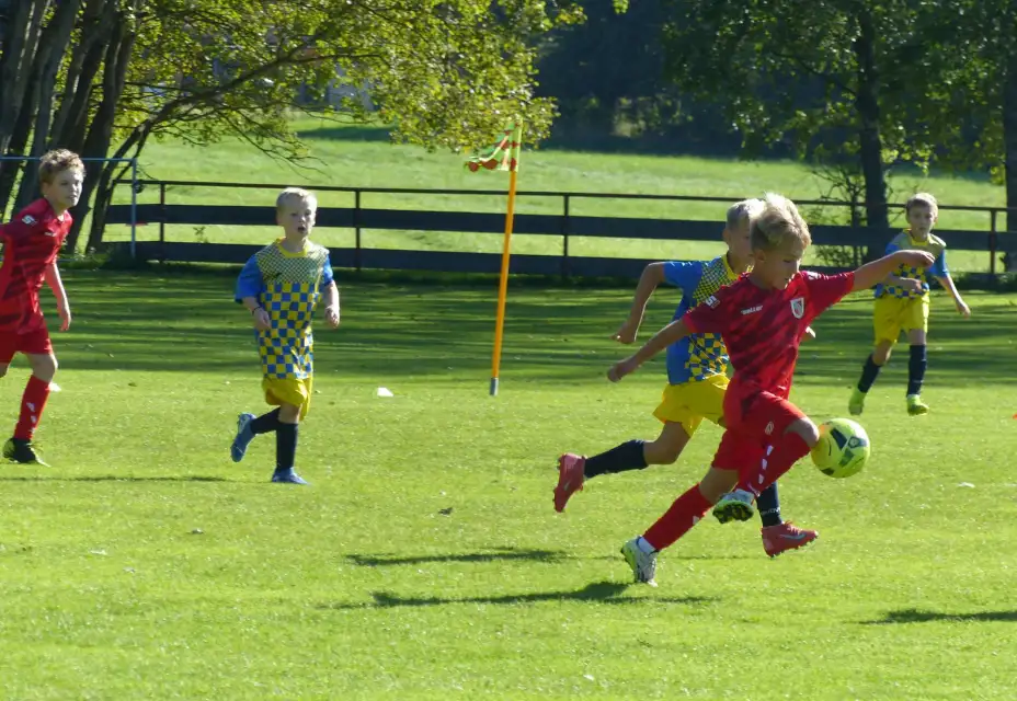 TJ Jiskra Nový Oldřichov - FK Cvikov 6:5