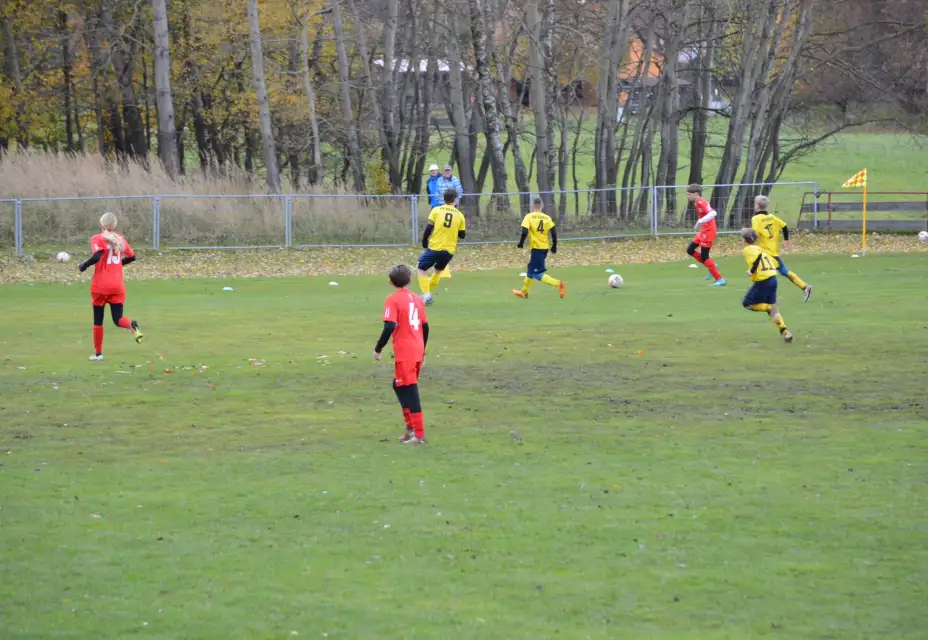 TJ Jiskra Nový Oldřichov - FK Cvikov 1:3
