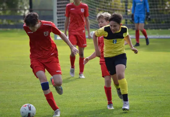 TJ Jiskra Nový Oldřichov - SK Šluknov/Lipová 1:3